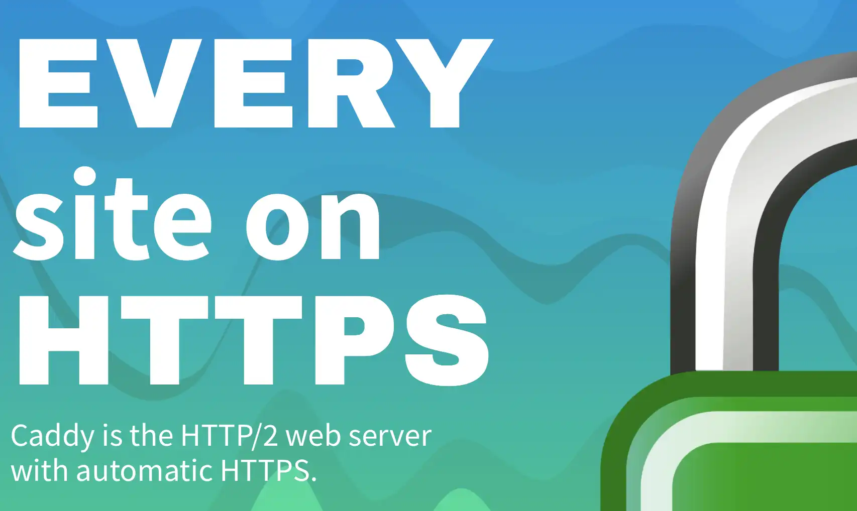 Caddyserver als nginx Alternative